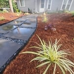 new design for front yard