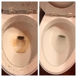 Toilet Cleaning