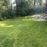 Foxboro, MA 02035 Project