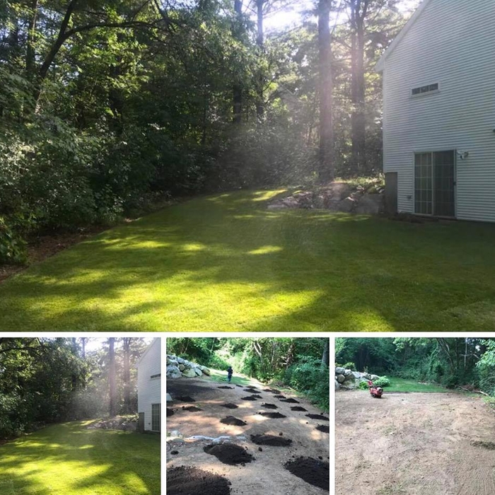 Sod Installation