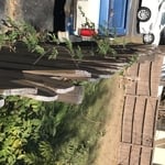 Before removal