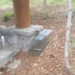 Newly Baited Trap