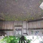 side yard