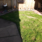 side yard