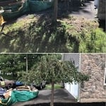 Mulching Services