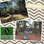 Wintergreen yard
