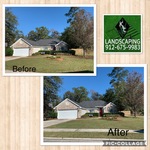 Yard clean up and grass cut