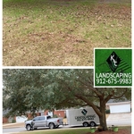 Fall yard clean up