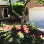 Mulch Application 2