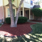 Mulch Application