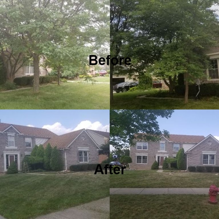 Tree Removal and Landscaping