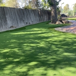 Parsons residences green