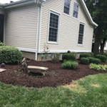 Mulch abd bush trim
