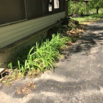 Landscaping service