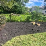 Carla's fence line