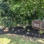 There's a deck back there!