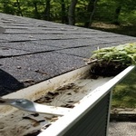 OUR WORK