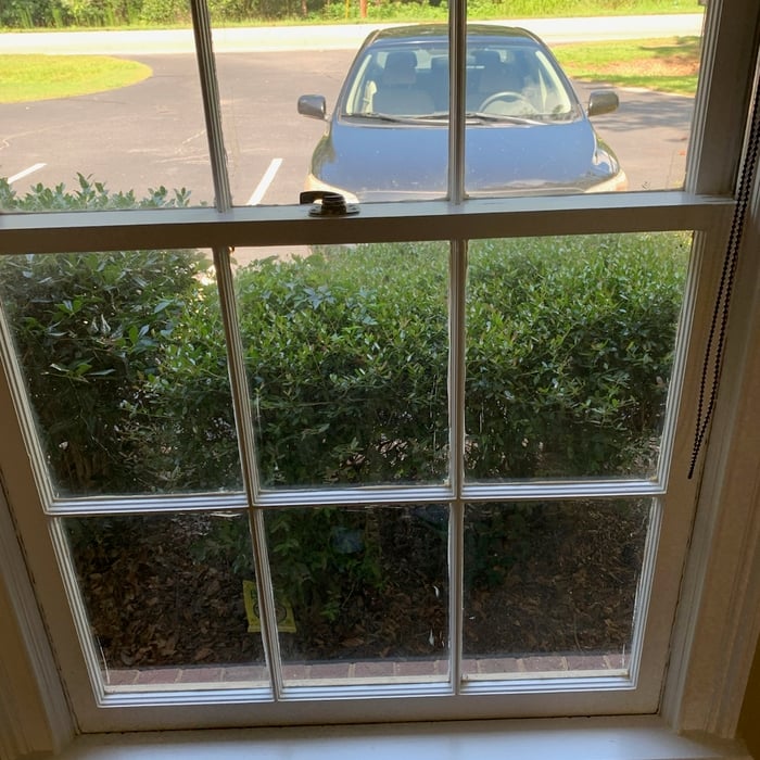Window Cleaning Dusting