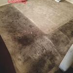 Before and After Pictures