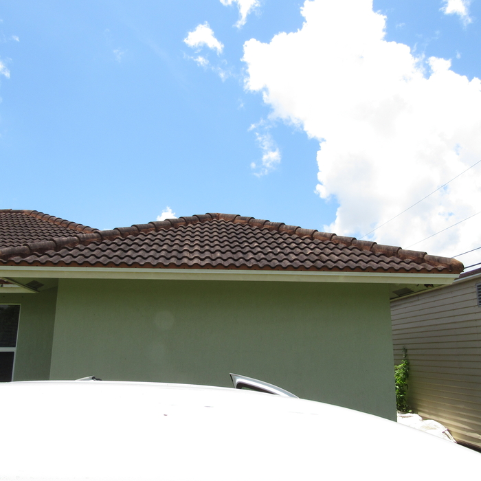 Peters roof