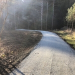 New driveway cut in