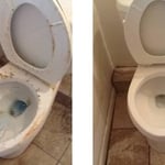 Deep clean toilet