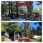 Junk Removal