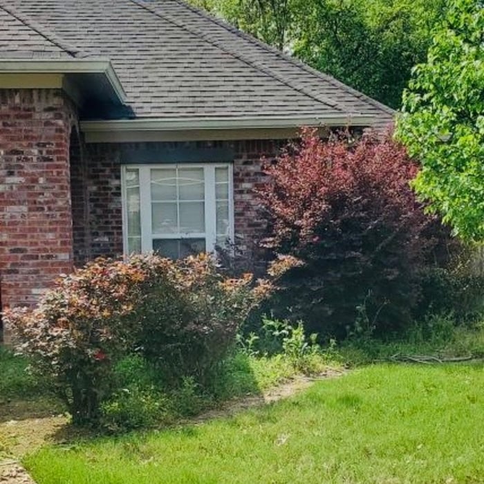 Lawn Care
