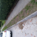 lawn renovations