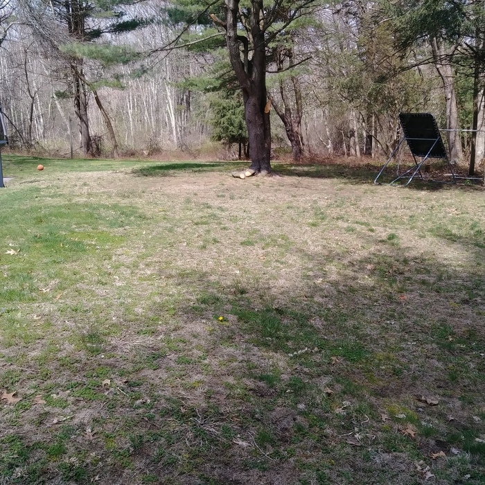lawn care and renovations