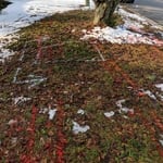 Roadside clean out repair