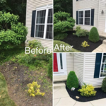 Landscaping/Garden