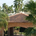Tile Roof