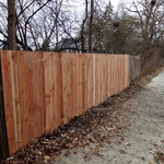 Saint Paul, Fence Repair
