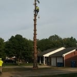 Tree Trimming/Removal
