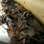 dirty gutters