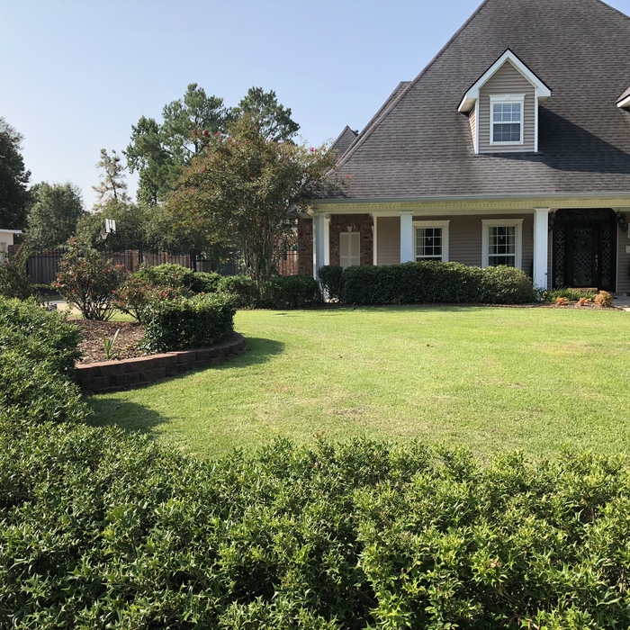 Lake Charles Landscape and Lawn