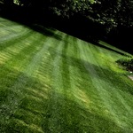 Stripes