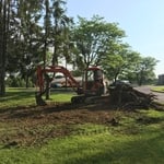 stump removal