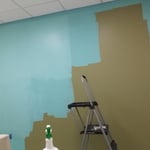 Paint color change