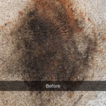 stain removed