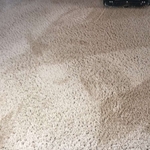 after stained