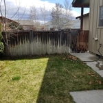 Deck and Fence Restoratio