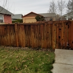 Deck and Fence Restoratio