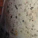 Mold