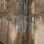 Start of Mold Problems