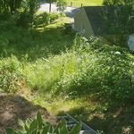 Before Cleanup