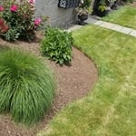 Our Work