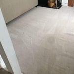 Project Eales
