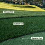 Santa Rosa Valley